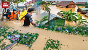 Người dân Đà Nẵng lại tất tả dọn đồ tránh lũ