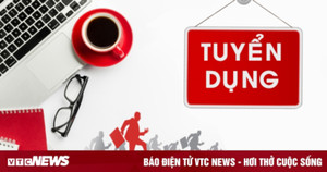 Báo Điện tử VTC News tuyển dụng kế toán thanh toán