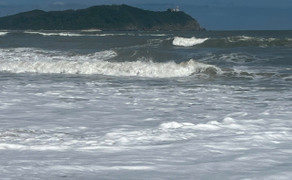 Bão số 13 quần thảo Biển Đông, hơn 2.700 ngư dân Quảng Ngãi còn ở ngoài khơi