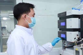 Từ hạt lúa mì đến gói mì quốc dân