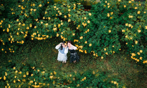 Hoa dã quỳ phủ vàng sườn núi Ba Vì ngày đầu đông