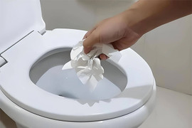Nên cho giấy vệ sinh vào bồn cầu hay thùng rác?