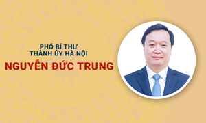 Infographic: Sự nghiệp Phó Bí thư Thành uỷ Hà Nội Nguyễn Đức Trung