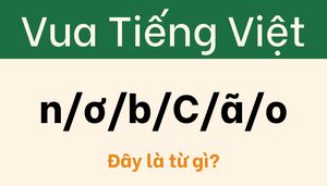 Câu đố khiến 'cao thủ tiếng Việt' cũng phải chào thua