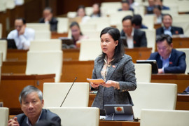 Đại biểu Quốc hội: Có trường hợp đóng dấu mật để che giấu thông tin sai phạm