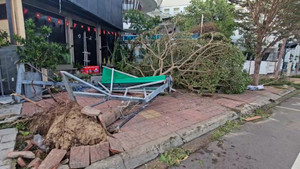 Gió rít xé tan mọi thứ, phố biển Quy Nhơn tan hoang sau bão số 13 Kalmaegi