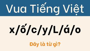 99% người chơi bị câu đố này lừa