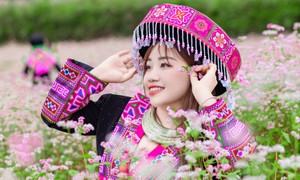 Mùa hoa tam giác mạch nở rộ, thiếu nữ rủ nhau lên Đồng Văn săn ảnh đẹp