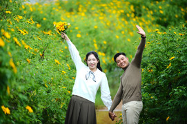 Dã quỳ nhuộm vàng phố núi, Đà Lạt vào mùa đẹp nhất năm