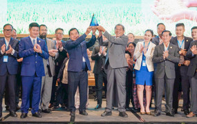 Gạo ST25 tiếp tục giành danh hiệu 'Gạo ngon nhất thế giới' năm 2025