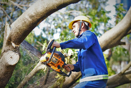 Gồng mình khắc phục hậu quả sau bão Kalmaegi