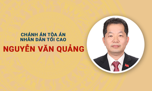 Infographic: Sự nghiệp Chánh án Tòa án Nhân dân Tối cao Nguyễn Văn Quảng