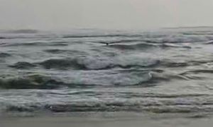 Trưởng thôn ở Quảng Ngãi lao ra dòng nước chảy xiết cứu hai vợ chồng bị lật ghe