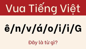 Chỉ 1% siêu trí tuệ mới giải mã được câu đố này