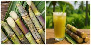 Uống nước mía mỗi ngày có tốt cho sức khoẻ?