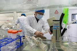 Trung Quốc công bố tiến triển mới về 'thuốc trường sinh'