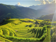 Tên gọi Hoàng Su Phì có ý nghĩa gì?