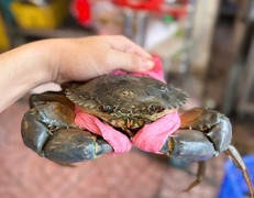 Lần đầu tiên TP.HCM tổ chức Ngày hội Cua