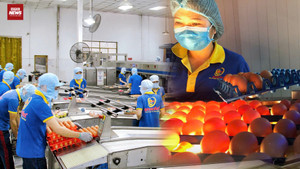 Nhà sáng lập Ba Huân nói gì về khoản nợ thuế 51 tỷ đồng?