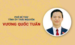 Chân dung Phó Bí thư Tỉnh ủy Thái Nguyên Vương Quốc Tuấn