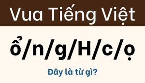 Nhất định phải nhìn kỹ, không được để câu đố này đánh lừa