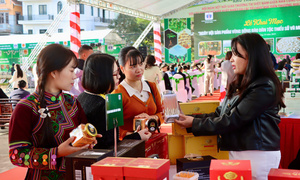 Khai mạc Ngày hội sản phẩm vùng đồng bào dân tộc thiểu số và miền núi phía Bắc