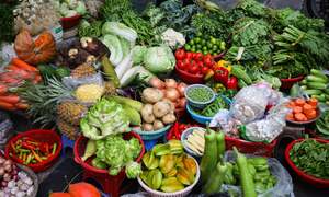 Rau dưa đắt 'khét lẹt', hơn cả thịt cá