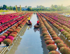 Đồng Tháp sẵn sàng cho Festival Hoa-Kiểng 2025, kỳ vọng nâng tầm du lịch quốc tế