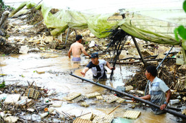 'Vựa rau' nổi tiếng ở Lâm Đồng chìm trong biển nước và rác, có nơi ngập trên 2m