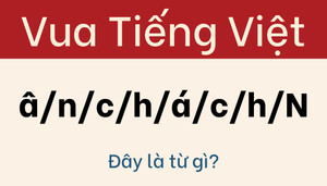 99% 'cao thủ ngôn từ' bị câu đố này đánh gục