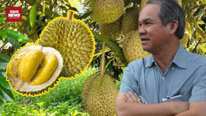 Bầu Đức tung 'át chủ bài' sầu riêng: Xây dựng kho lạnh 20.000m² để bán trái vụ