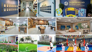 Đội ngũ giáo viên giỏi chuyên môn tại trường Ngôi Sao Hà Nội - Hải Phòng Campus