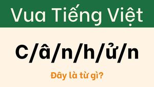 Đến cả 'thiên tài ngôn ngữ' cũng bị câu đố này lừa