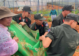 Sạt lở đất vùi lấp nhà kính ở Lâm Đồng, 1 người tử vong