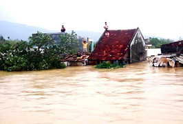 Hơn 19.000 ngôi nhà bị ngập, Gia Lai xin hỗ trợ khẩn cấp 2.000 tấn gạo