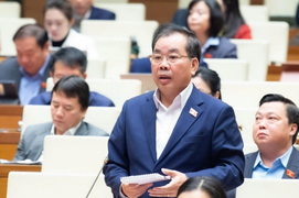 ĐBQH kiến nghị xem xét lại sự tồn tại của cơ sở giáo dục đại học vùng