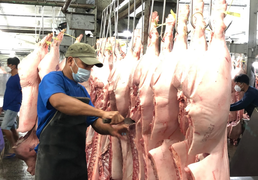 TP.HCM thí điểm sàn giao dịch thịt heo trong tháng 12