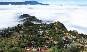 Y Tý vào mùa mây đẹp nhất, thôn Ngải Thầu Thượng hóa biển trắng cuộn trào