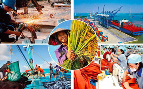 Hà Nội chỉ đạo tăng tốc triển khai nhiệm vụ trọng tâm dịp cuối năm