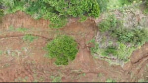 Xuất hiện vết nứt dài hơn 300m, hàng chục hộ dân Lâm Đồng di dời khẩn cấp