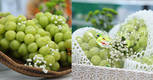 Cận cảnh loạt trái cây 'hot' bị nhái nguồn gốc, lừa người tiêu dùng