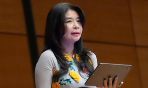 ĐBQH đề nghị mạng xã hội phải chia sẻ doanh thu nếu dùng tin của báo chí