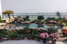 Tham khảo những mẫu hồ cá Koi đẹp trong nhà