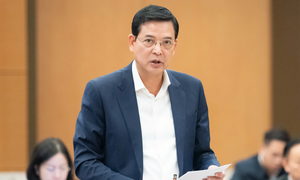 Dự kiến giấy phép xây dựng được cấp online