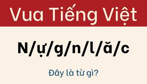 Ngay cả những người thông thái nhất cũng bị câu đố này qua mặt