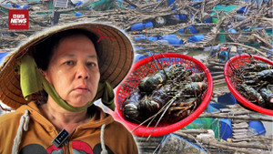 Mưa lũ miền Trung: 2.400 tỷ đồng bị cuốn trôi, người nuôi tôm trắng tay