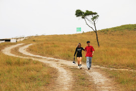 Ngắm đồi Phượng Hoàng vào mùa cỏ cháy đẹp nhất năm