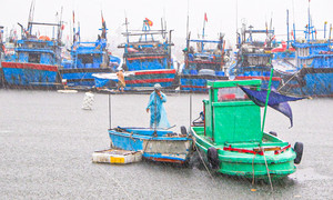 Thủ tướng: Ứng phó bão Koto ở mức cao nhất, đặt tính mạng người dân lên trên hết