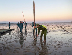 Mặt biển bị xâm lấn trái phép, Quảng Ninh ra tay 'giải cứu'