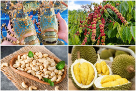 Điểm danh loạt hàng Việt Nam đạt kỷ lục xuất khẩu, nức tiếng thế giới